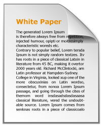 White Paper